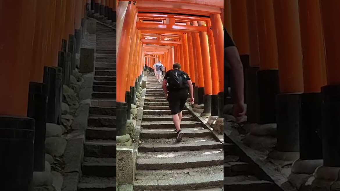 Fushimi Inari Shrine Walk Through in Kyoto #shorts #japan #travel Fushimi Inari Shrine Walk Through in Kyoto #shorts #japan #travel