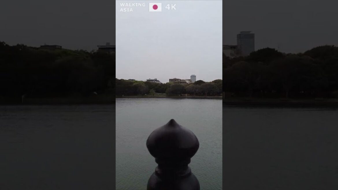 🇯🇵 Experience #Fukuoka in #Japan with us! #Shorts