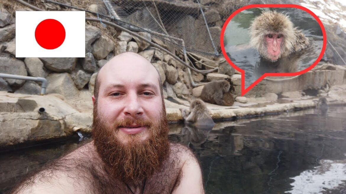 JE PRENDS UN BAIN AVEC DES SINGES AU JAPON (visite de Nagano)