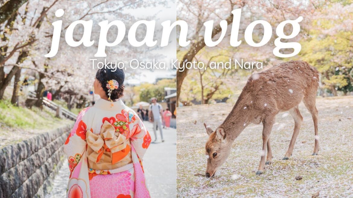 JAPAN // Tokyo Osaka Kyoto Nara // Soothing Travel Vlog // Sakura Season, Animals, Scenery, Food