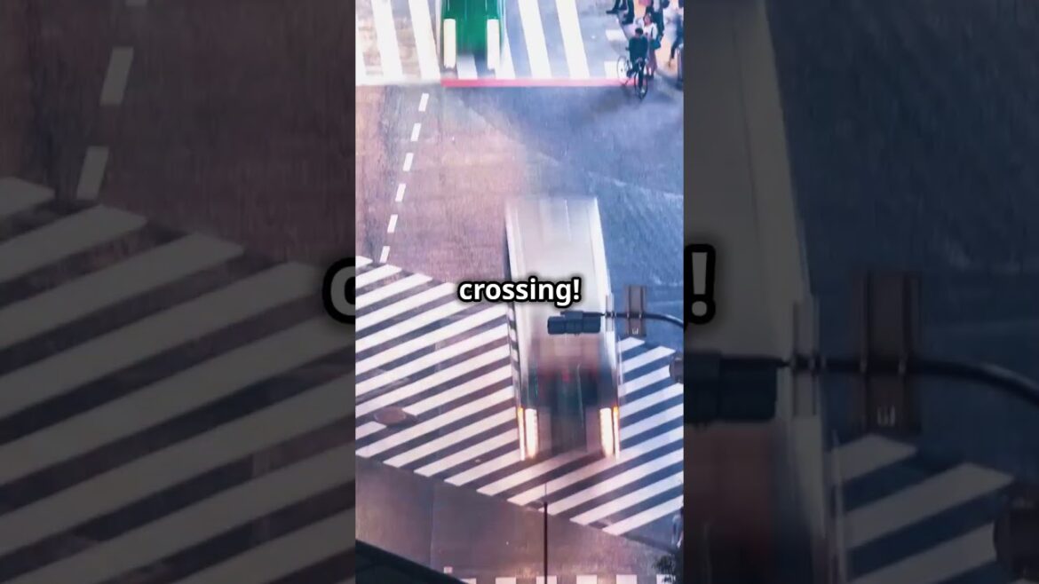 Top 3 Must-Visit Places in Tokyo, Japan Top 3 Must-Visit Places in Tokyo, Japan