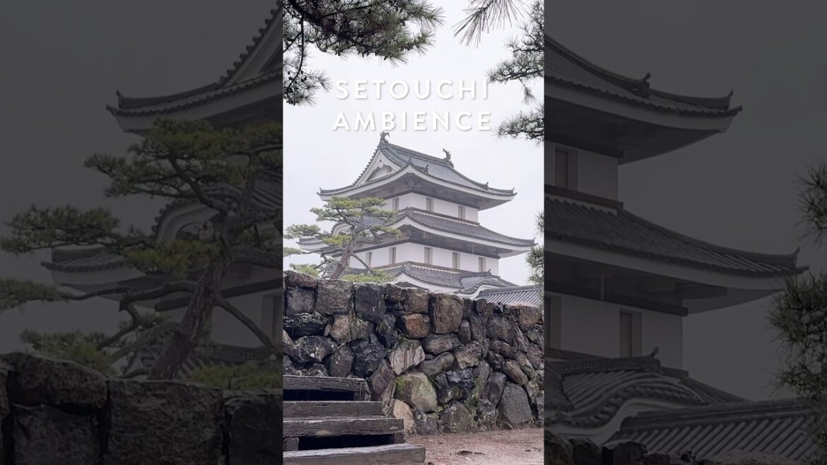 ASMR | Walking in the Rain in Takamatsu Castle Ruins,Kagawa| Binaural Rain Sounds Japanese Garden ASMR | Walking in the Rain in Takamatsu Castle Ruins,Kagawa| Binaural Rain Sounds Japanese Garden