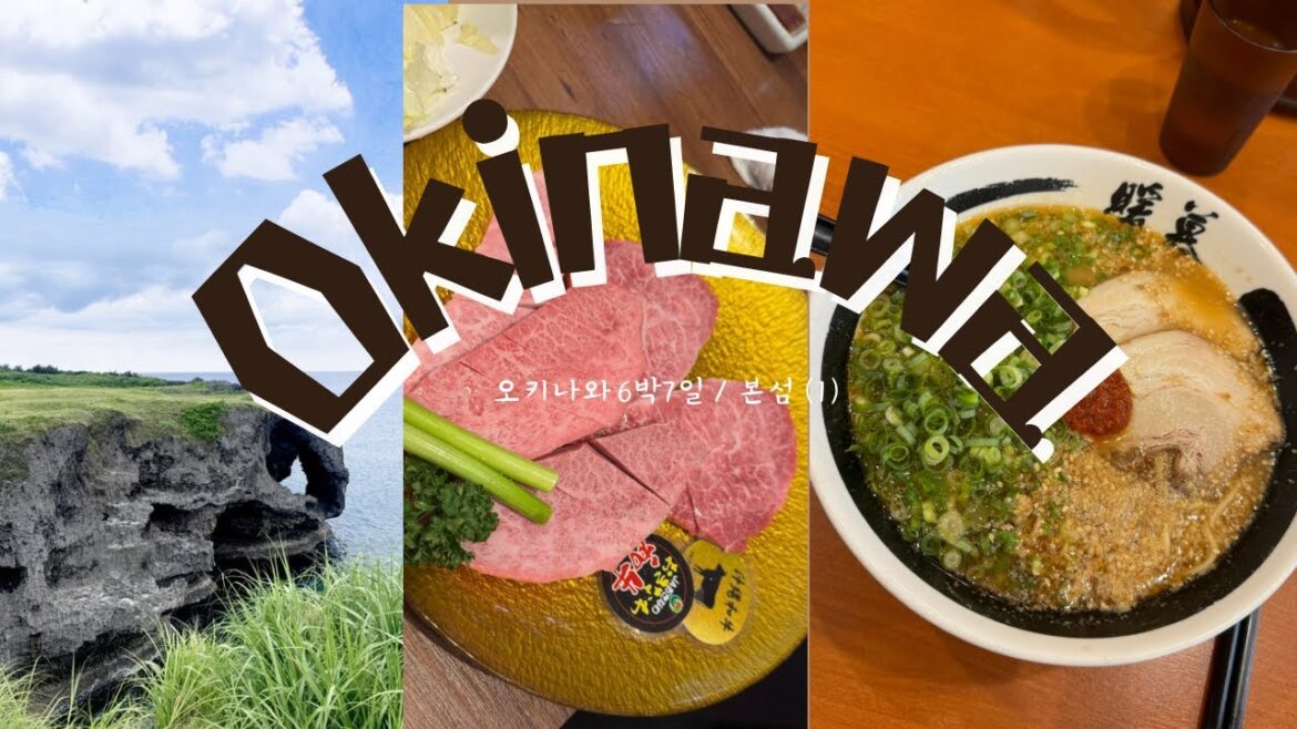 오키나와 본섬 / 미야코지마/  6박7일 / 본섬 1-2일차 / 태풍 잘피했다! 오키나와 본섬 / 미야코지마/  6박7일 / 본섬 1-2일차 / 태풍 잘피했다!