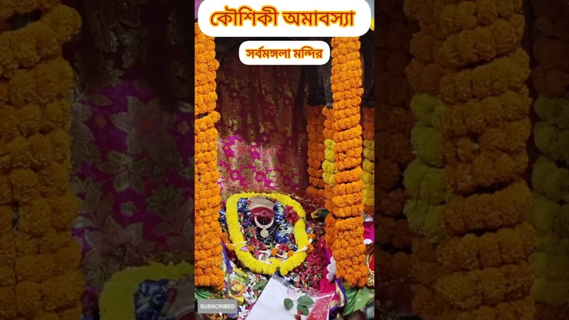 কৌশিকী অমাবস্যা #tarapithmandir #burdwan #sarbamangala #viralvideo #trending #youtubeshorts #shorts