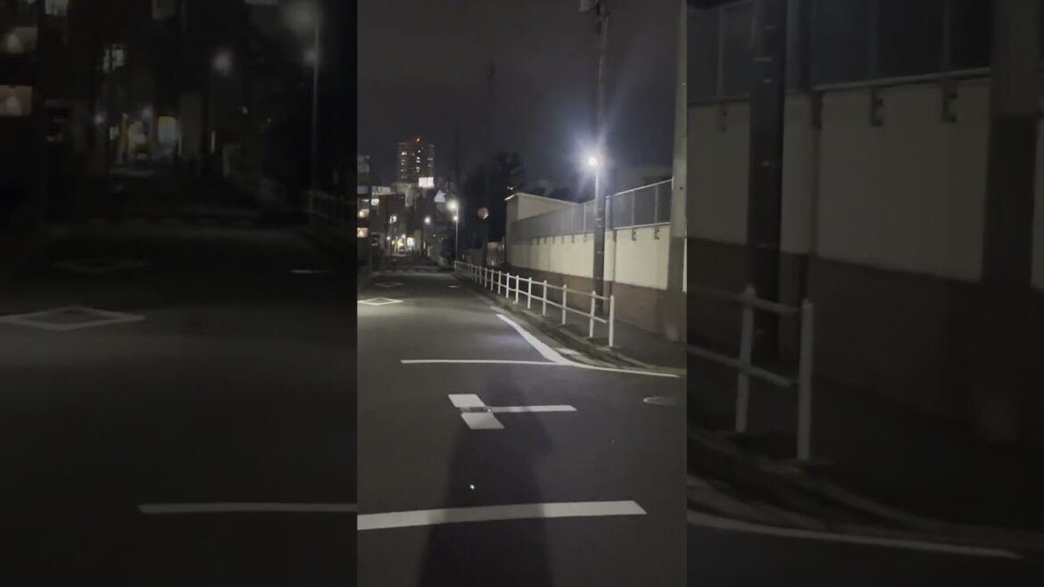 Night cruising in Nagoya, Japan #travel #japan #skateboarding #旅行 #日本 #スケボー