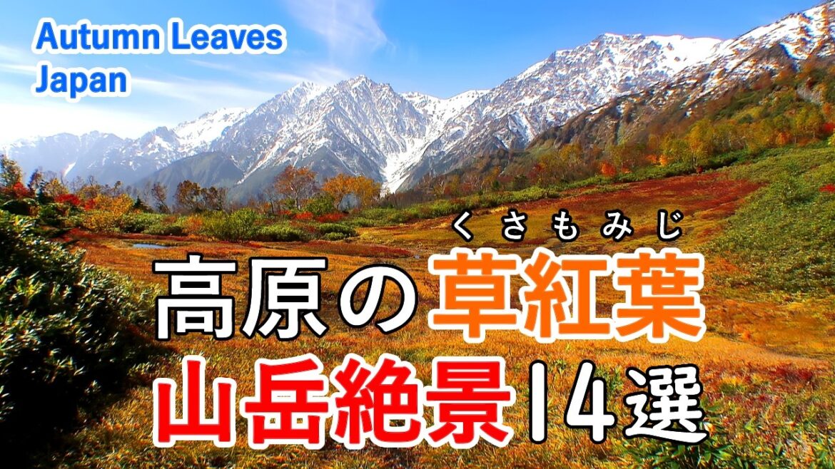 高原の草紅葉 山岳絶景ベスト14選！尾瀬・奥日光・八甲田山・八幡平・志賀高原・赤城山など / 14 spectacular mountain views  in autumn! [ 4K ]
