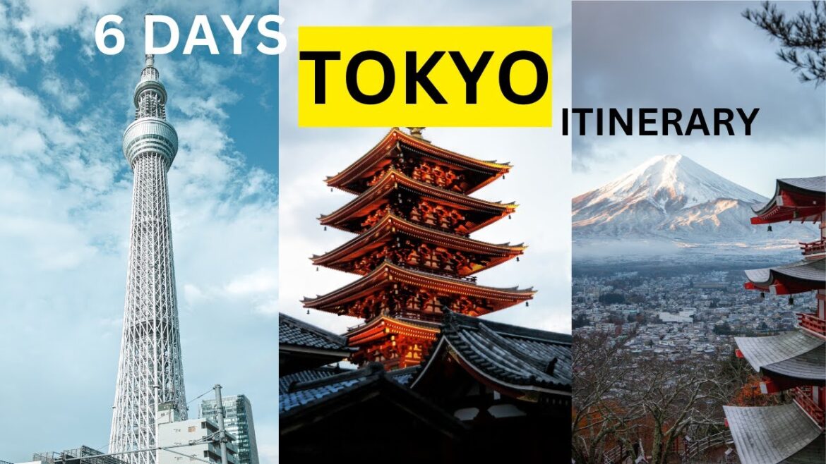 The Ultimate 6 Day Tokyo Itinerary || tokyo travel guide
