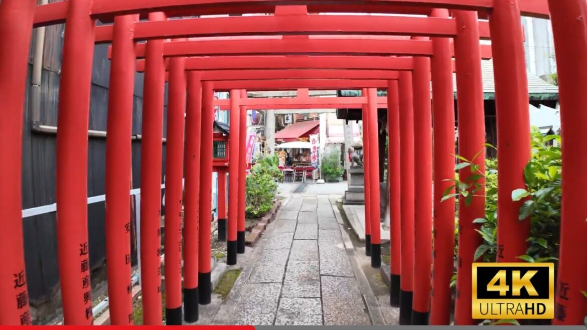 Japan: Fujisengen Shrine to Osu Shopping Street in Nagoya | Walking Tour Japan: Fujisengen Shrine to Osu Shopping Street in Nagoya | Walking Tour