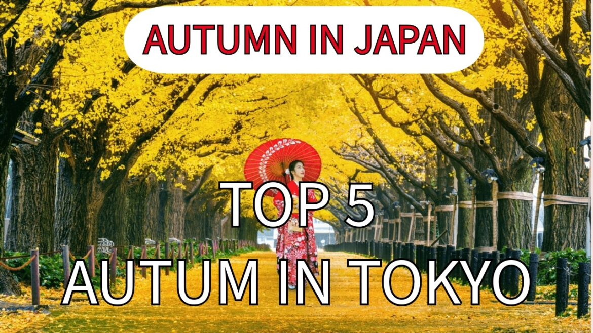 Top 5 Autumn Spots in Tokyo Top 5 Autumn Spots in Tokyo