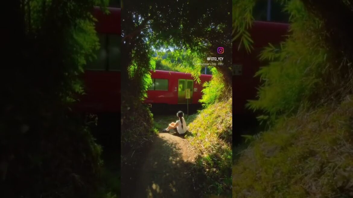 ✨ Japan #bucketlistplaces #japan #tokyo#kyoto#osaka#nagasaki#johto#fantasy#ghibli #ghiblistudios