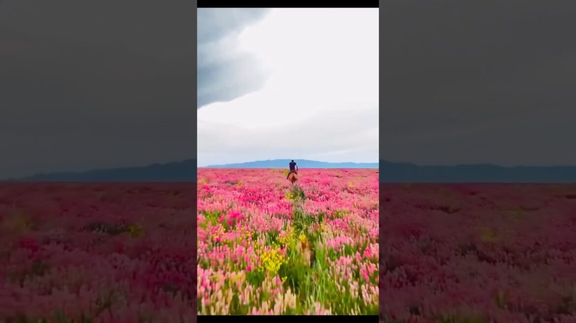 📍Places On Earth That Don’t Feel Real in Japan , USA, Kazakhstan 😱#nature #shorts #travel 📍Places On Earth That Don't Feel Real in Japan , USA, Kazakhstan 😱#nature #shorts #travel