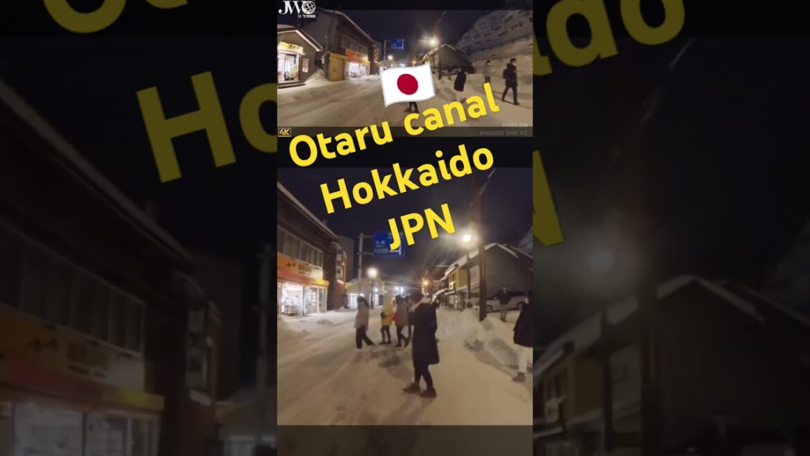 Otaru canal Hokkaido #otaru #otarucanal #小樽