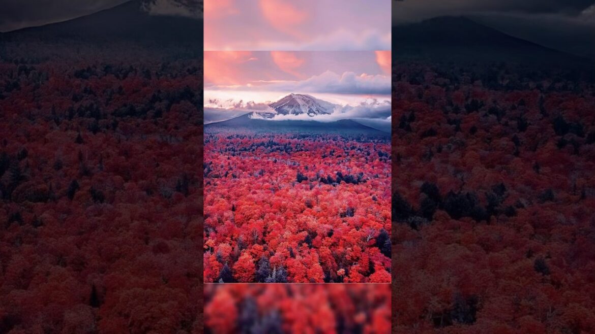 Mount Fuji.#mountfuji #japan
