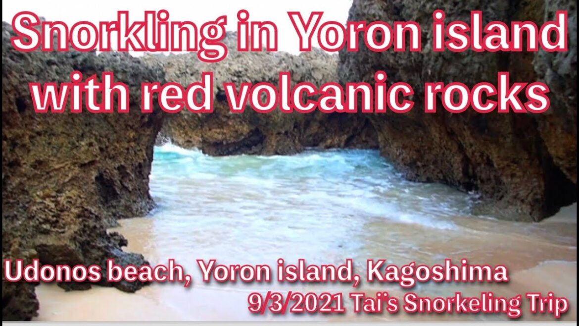 【#24 Tai’s Snorkeling Trip in Okinawa】Snorkeling in Yoron island, Udonos beach, Kagoshima,  Japan