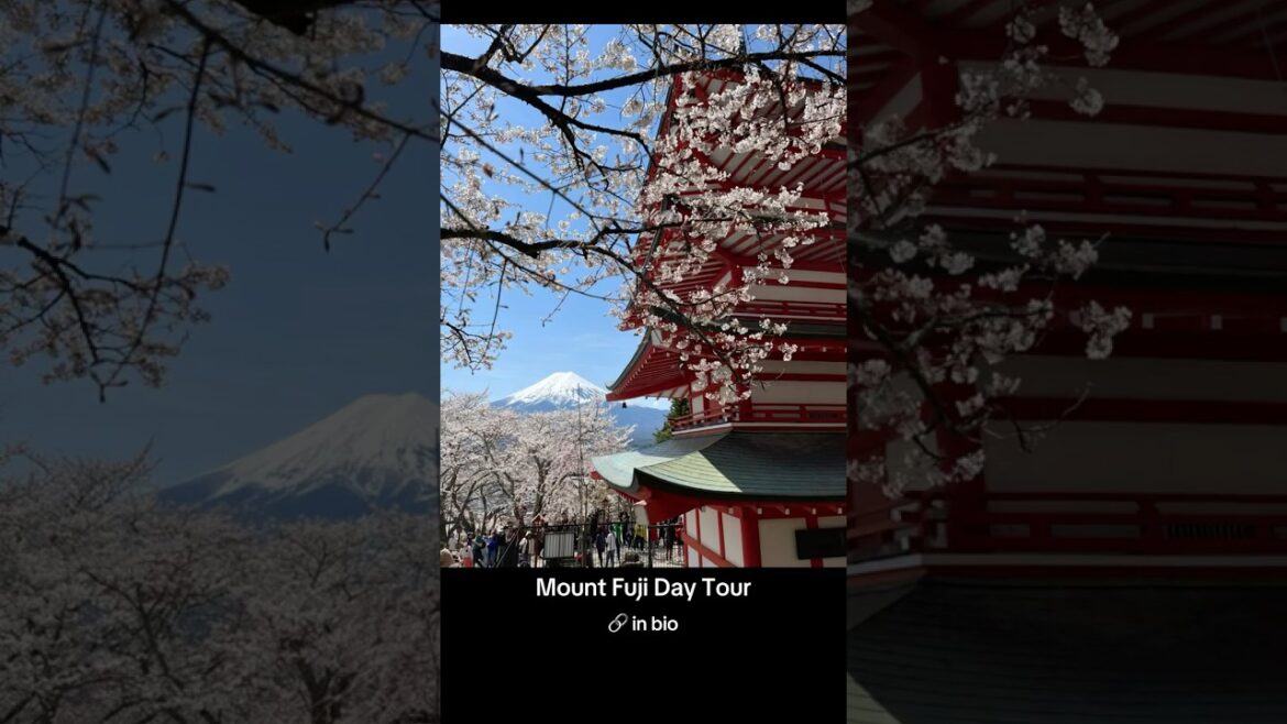 Mount Fuji Day Tour 🔗 in bio #japan #travel #tokyo #mountfuji #viatortravel