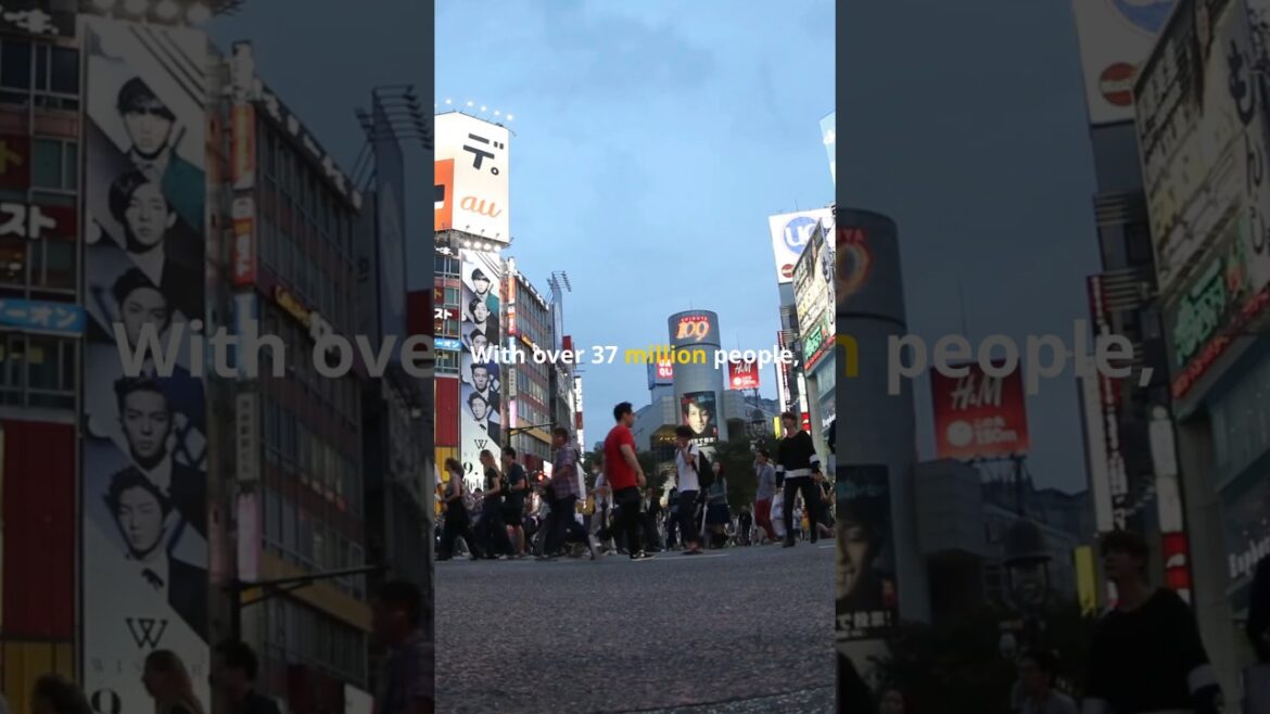 5 Most Populated Cities in the World! 5 Most Populated Cities in the World!