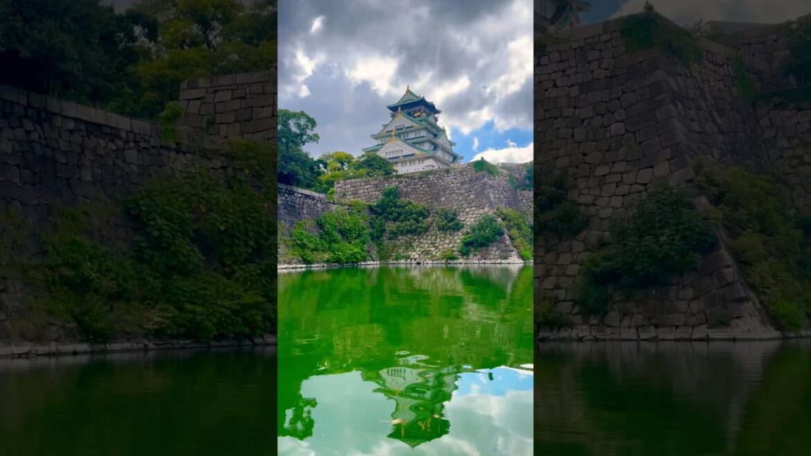 Osaka Castle #iphone16 #japan #osaka #travel #Япония #замок