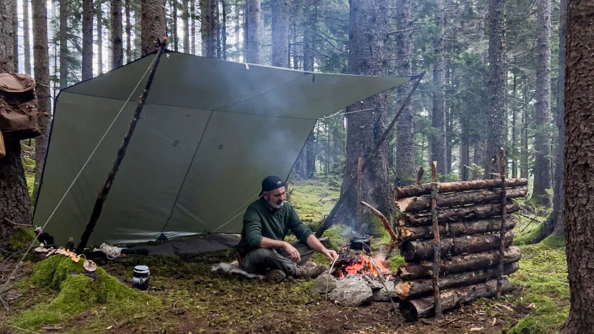 3 Days Solo Bushcraft Camping – Mushroom Hunting – Tarp Shelter – Camping In The Rain 3 Days Solo Bushcraft Camping - Mushroom Hunting - Tarp Shelter - Camping In The Rain
