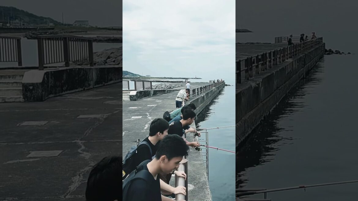 Mancing di Jepang 🇯🇵 #japan #budayajepang #indonesia