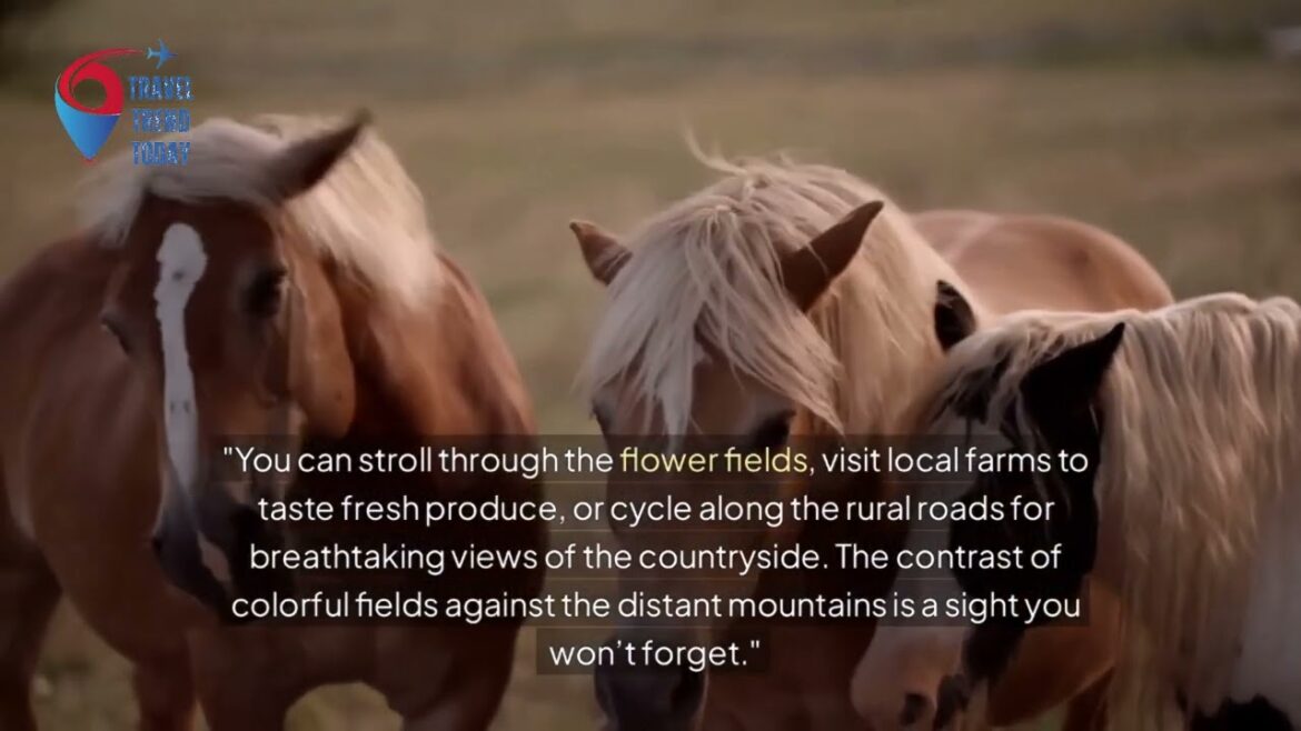 Hokkaido, Japan - TRAVEL TREND TODAY