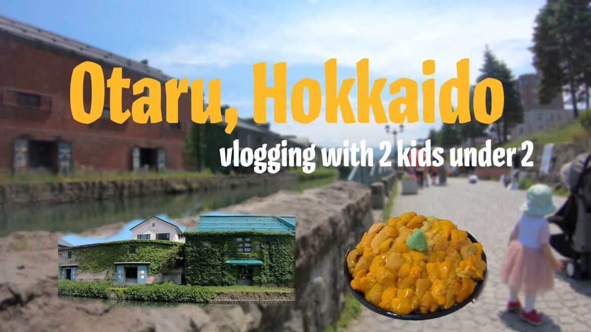 Otaru Hokkaido | Otaru Sankaku Market | Hokkaido LeTAO Dessert | Nikka Yoichi Distillery | 1 of 2