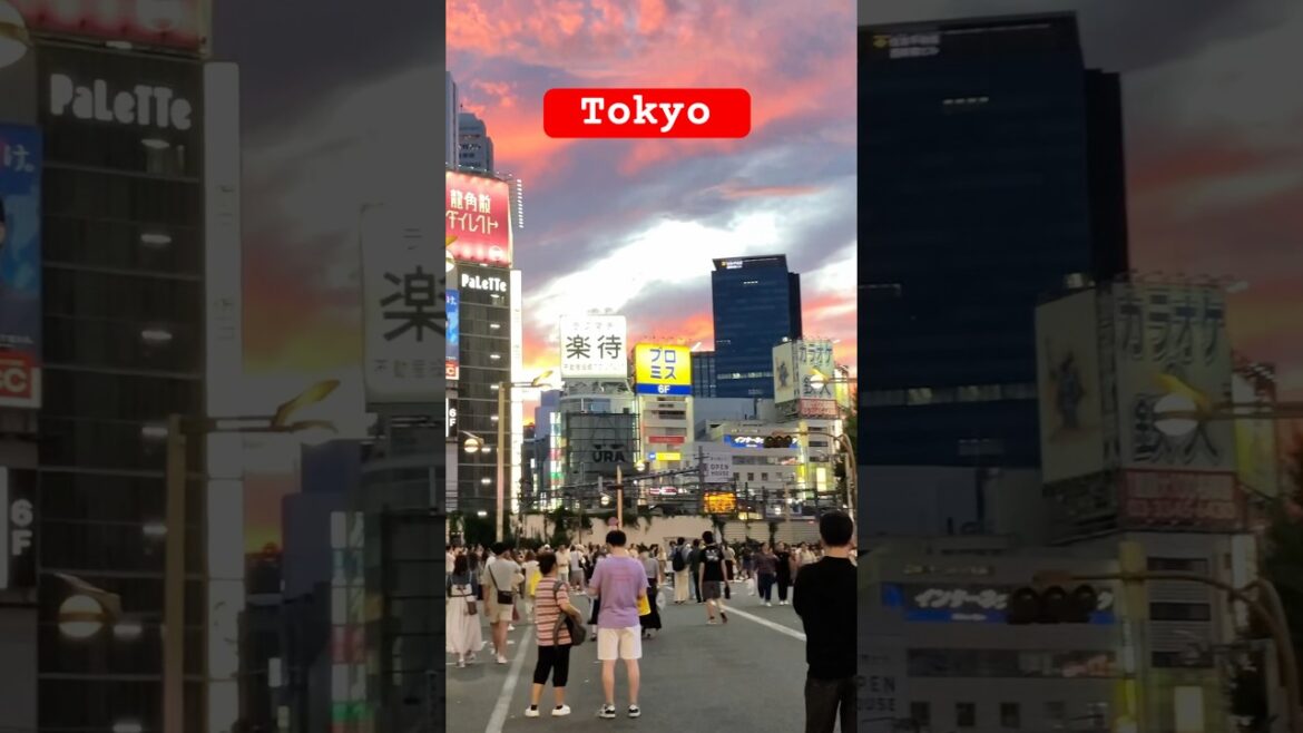 Shinjuku Walking Tour || #japan #walkthrough #shinjuku #tokyo #shortvideo #shorts