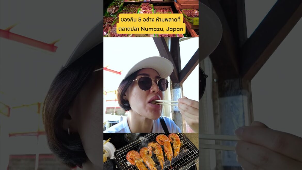 แวะ Numazu ก่อนไปชม Fuji ของเด็ดห้ามพลาดด #gographjourney