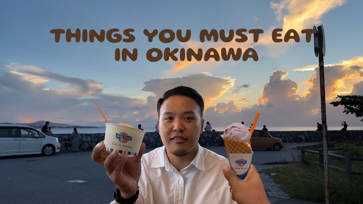 What did I do in Okinawa for two weeks??!!!🇯🇵-Part4(Japan-4K)