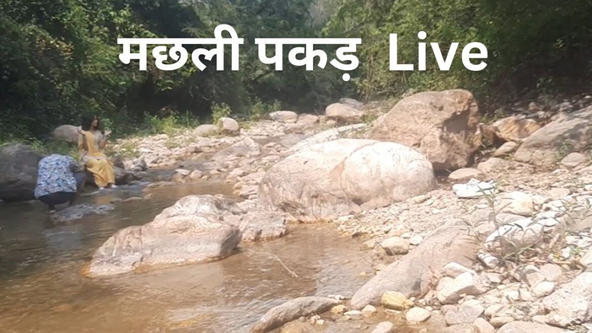 Live machhali pakadne ka experience #travelvlog #travel #hills #travelling #kumaon