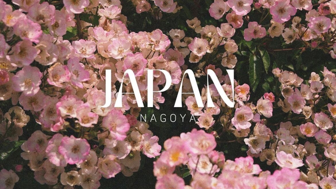 Visiting my dad's favorite bar in Japan Toyota City! Exploring outer Nagoya, Gifu World Rose Garden
