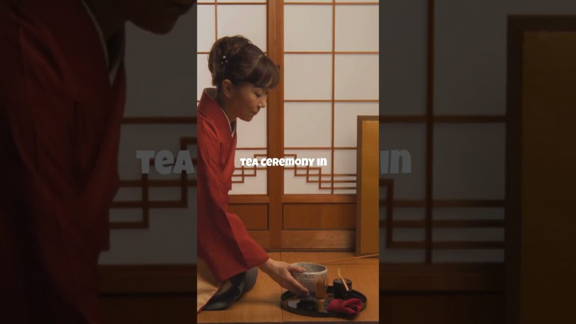 Exploring Kyoto in 60 Seconds! 🌸  #japanexperience #facts #travel #kyoto