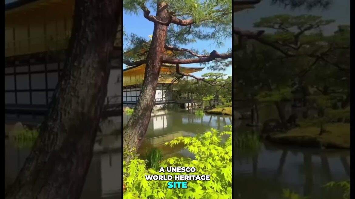 Discover Kinkaku ji  The Golden Pavilion of Kyoto!