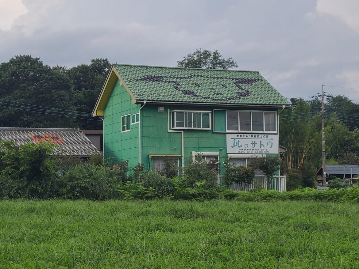 Surprised Pikachu Roof