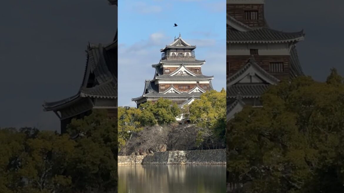 Castillo de Hiroshima #hiroshimacastle #japan Castillo de Hiroshima #hiroshimacastle #japan