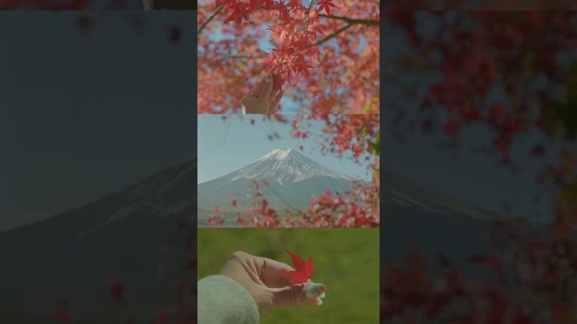 📍 Fuji Nothing beats the feeling of seeing the Fuji mountain clear