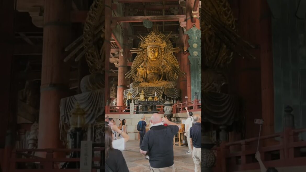 #kansai Day 2 #kansai Day 2