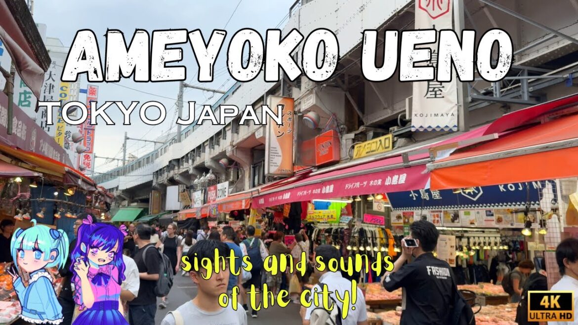 Walking Through Ueno’s Ameyoko Market | Tokyo Street Life | Daytime Walk in Japan π―π΅ Walking Through Ueno's Ameyoko Market | Tokyo Street Life | Daytime Walk in Japan π―π΅