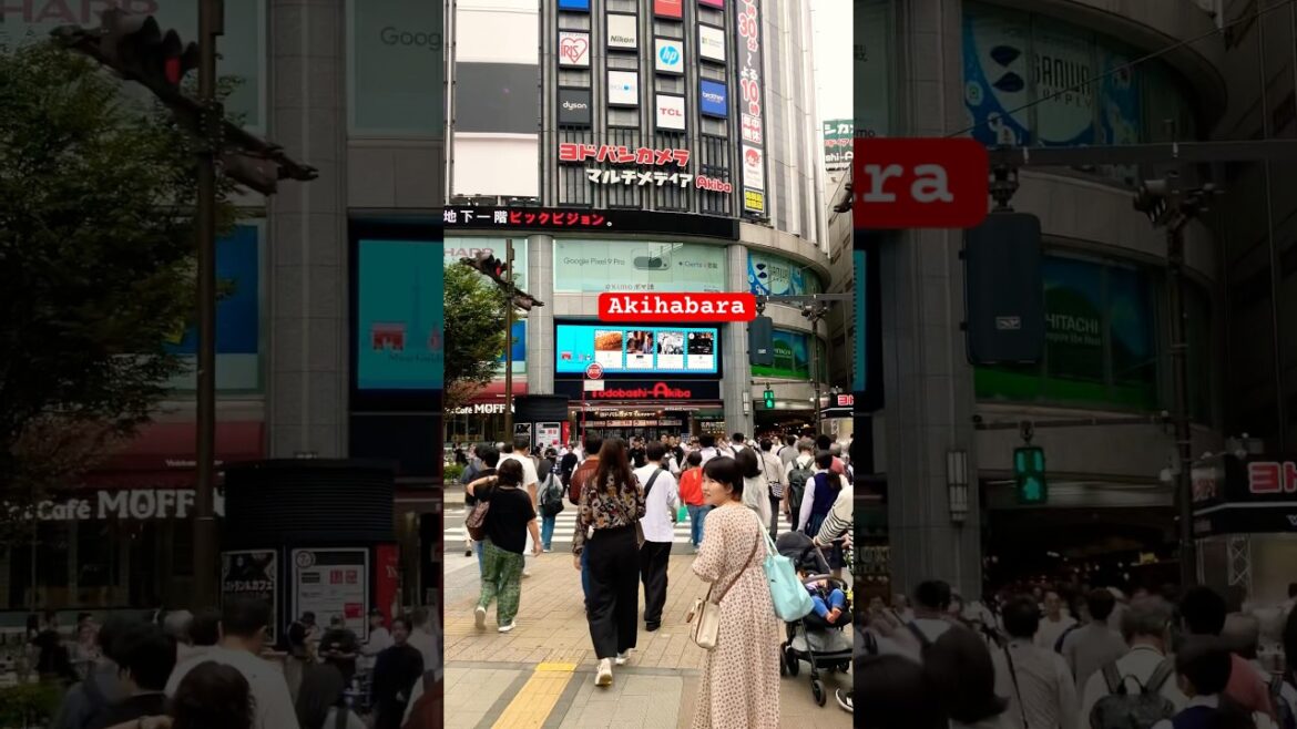 Akihabara Walking Tour || #japan #travel #japanwalk #asiantravel #walkthrough #akihabara #shorts