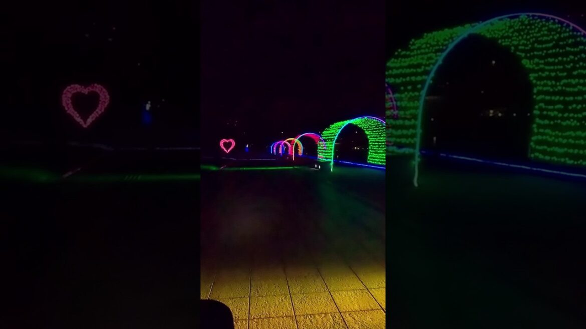 【新潟】おすすめ観光スポット♪イルミネーションで夜景が綺麗！ #shorts #新潟 #niigata #japan