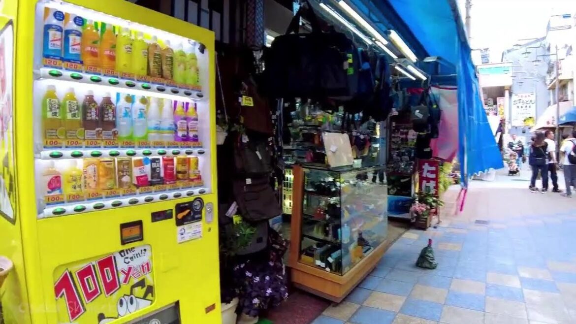 🔴Japan West Walk♪ 24/7🍣🐶Osaka, Kyoto, Hakata.etc💝 🔴Japan West Walk♪ 24/7🍣🐶Osaka, Kyoto, Hakata.etc💝