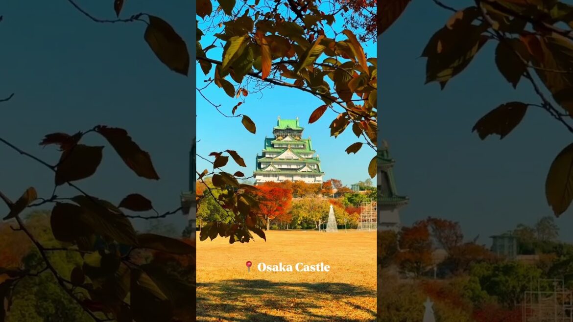 Visit Japan in Autumn ULTIMATE Bucket List   Must See Destinations