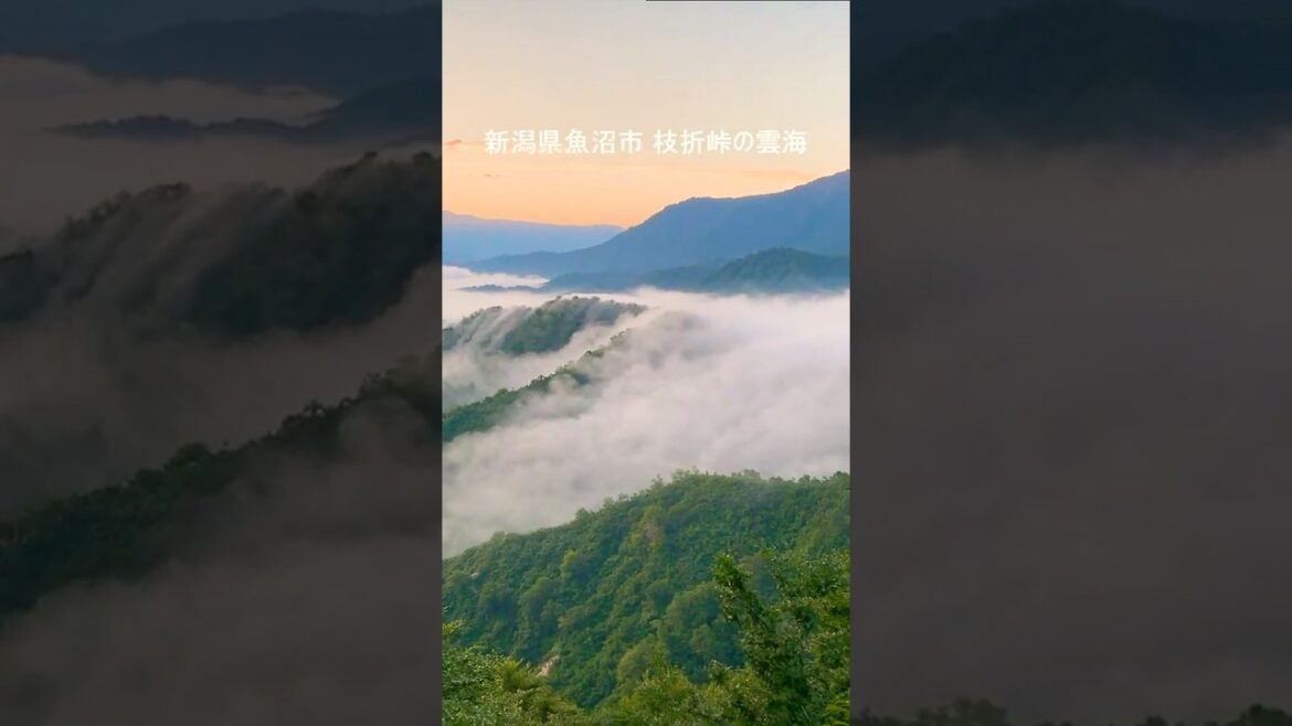 一生に一度は見たい新潟の絶景☁️#新潟観光