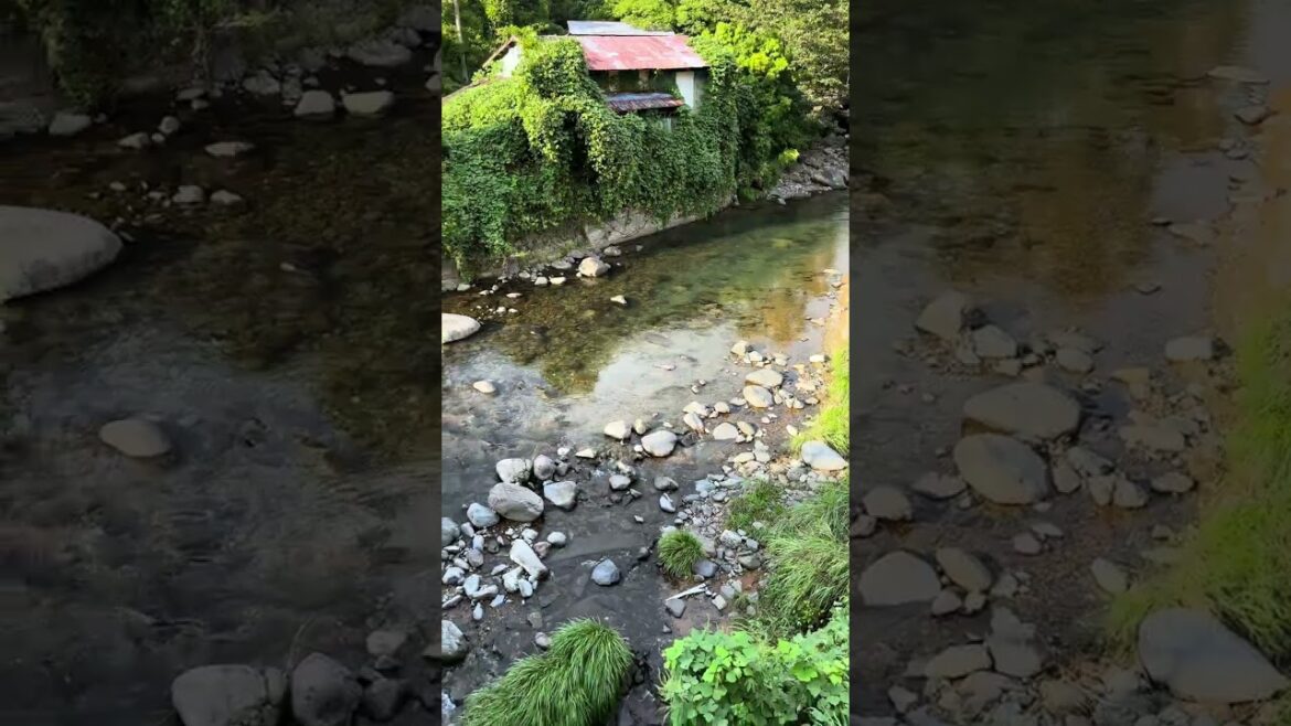 Japanese countryside: A river flows