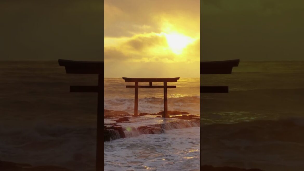 3 Incradible places in Japan! 🌸 #travelgoals #topdestinations #travel #japan #japantravel 3 Incradible places in Japan! 🌸 #travelgoals #topdestinations #travel #japan #japantravel
