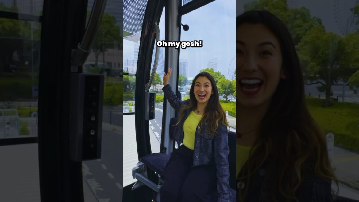 Day Trip From Tokyo: What to do in Yokohama, BESIDES Chinatown!  #foodtraveljapan #japanesefood