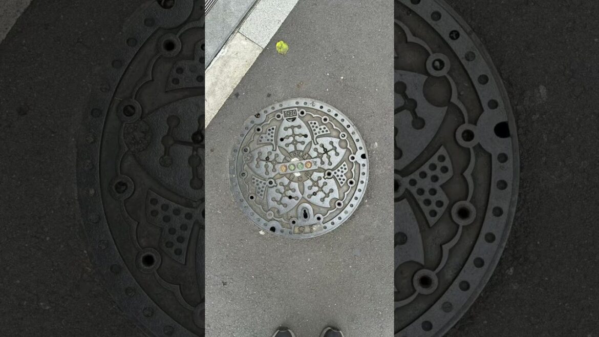 Random Japan x Manhole Covers #japantravel #vacation #tokyo #nagoya #yokohama #nikko