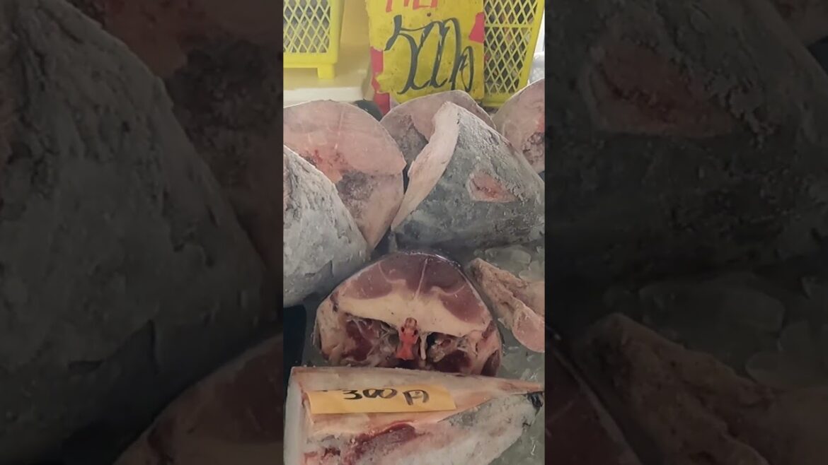 A touristy fish market  #traveljapan #ibaraki #seafoodmarket A touristy fish market  #traveljapan #ibaraki #seafoodmarket