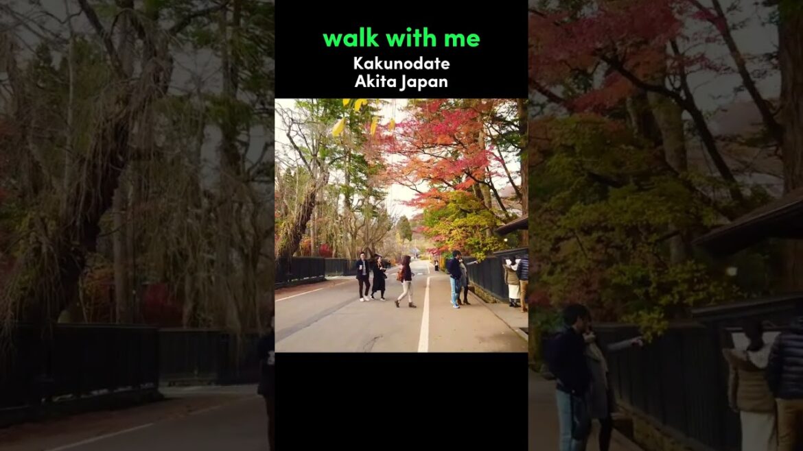 Walk With Me in Kakunodate | Akita Japan Walking Tour