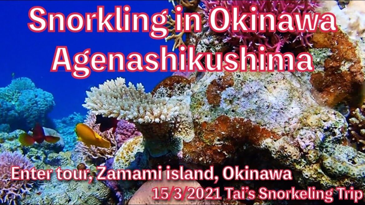 【#28 Tai’s Snorkeling Trip in Okinawa】Agenasikushima island, Zamami island, Kerama, Okinawa, Japan 【#28 Tai’s Snorkeling Trip in Okinawa】Agenasikushima island, Zamami island, Kerama, Okinawa, Japan