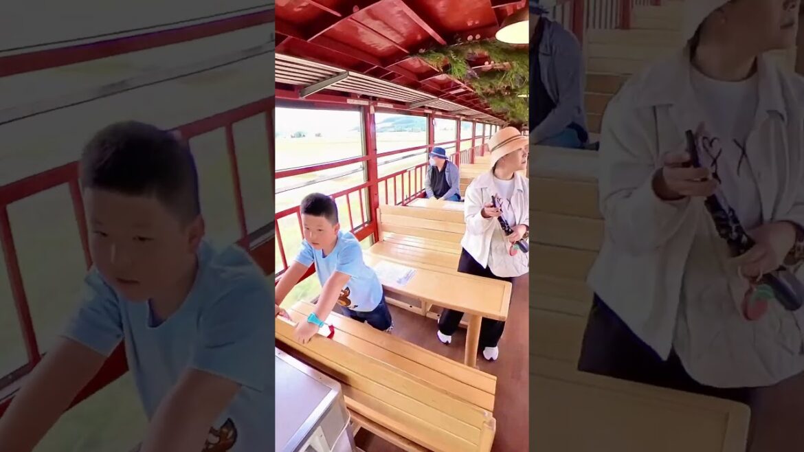 Day 11 / Part 4.  Furano Biei Norokko Train. Hokkaido
